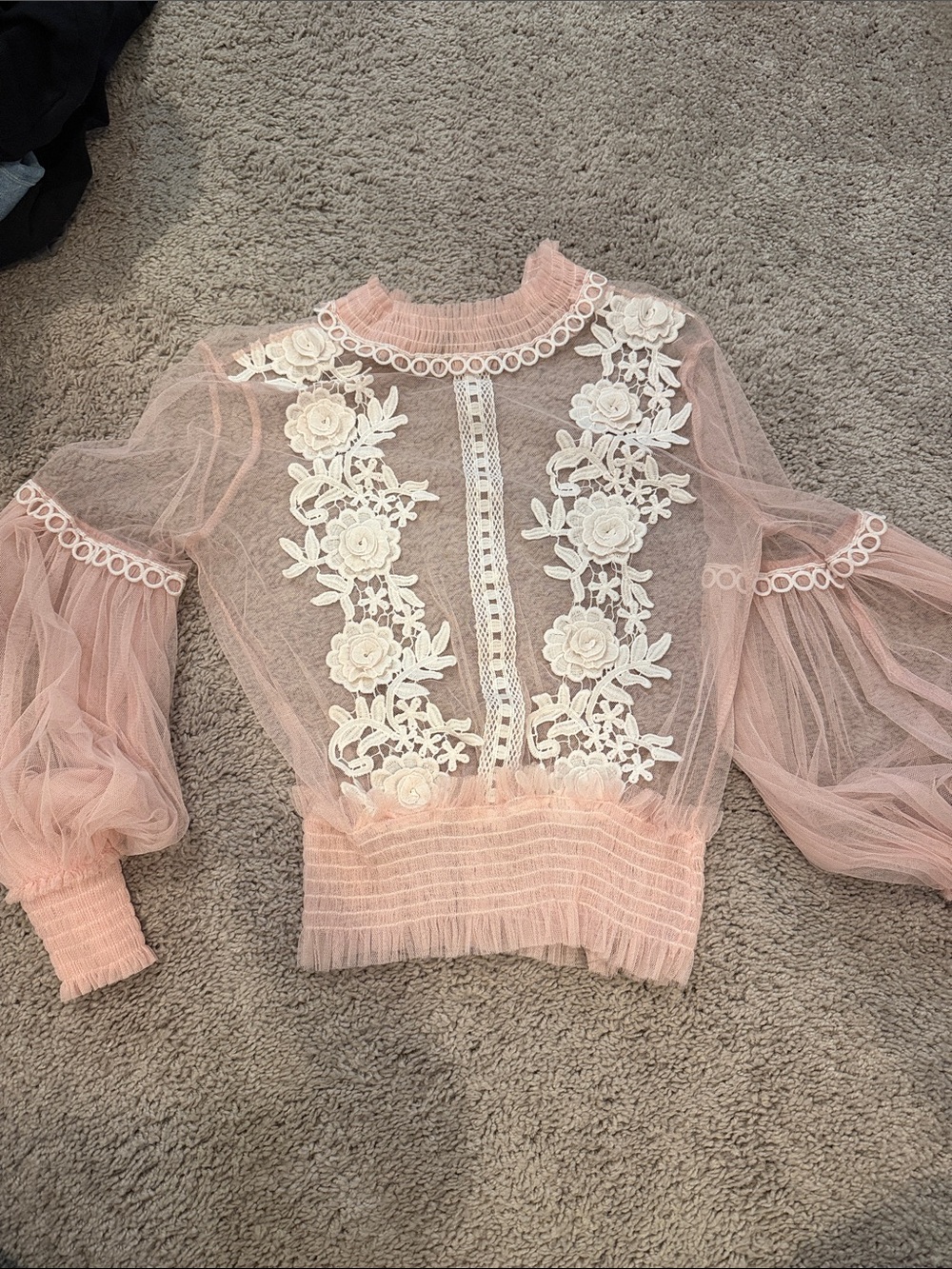 Sheer Blush Pink Floral Lace Embroidered Puff-Sleeve Blouse